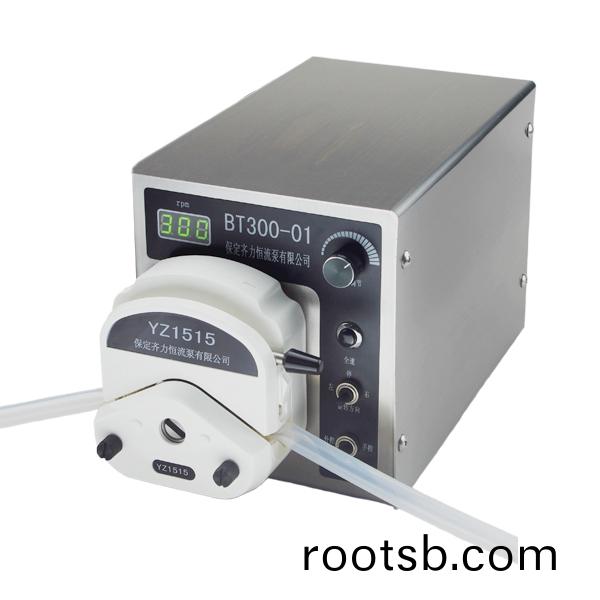 基本型蠕(ru)動泵(beng)BT300-01