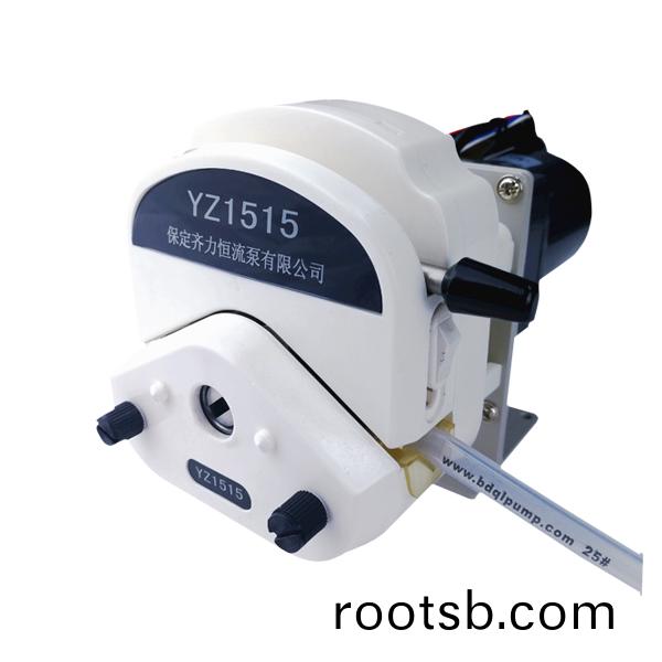 交流/直(zhi)流減速電(dian)機蠕動泵(beng)OEM01