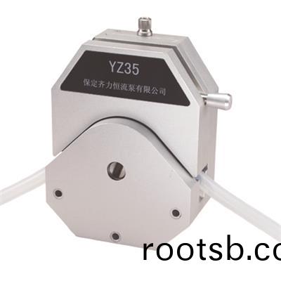 YZ35泵頭