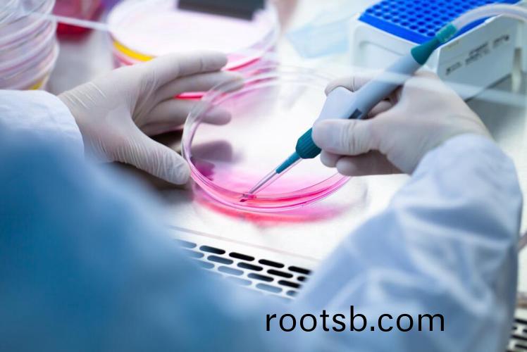 齊(qi)力(li)蠕動(dong)泵(beng)在細胞(bao)培(pei)養(yang)中(zhong)的(de)應(ying)用